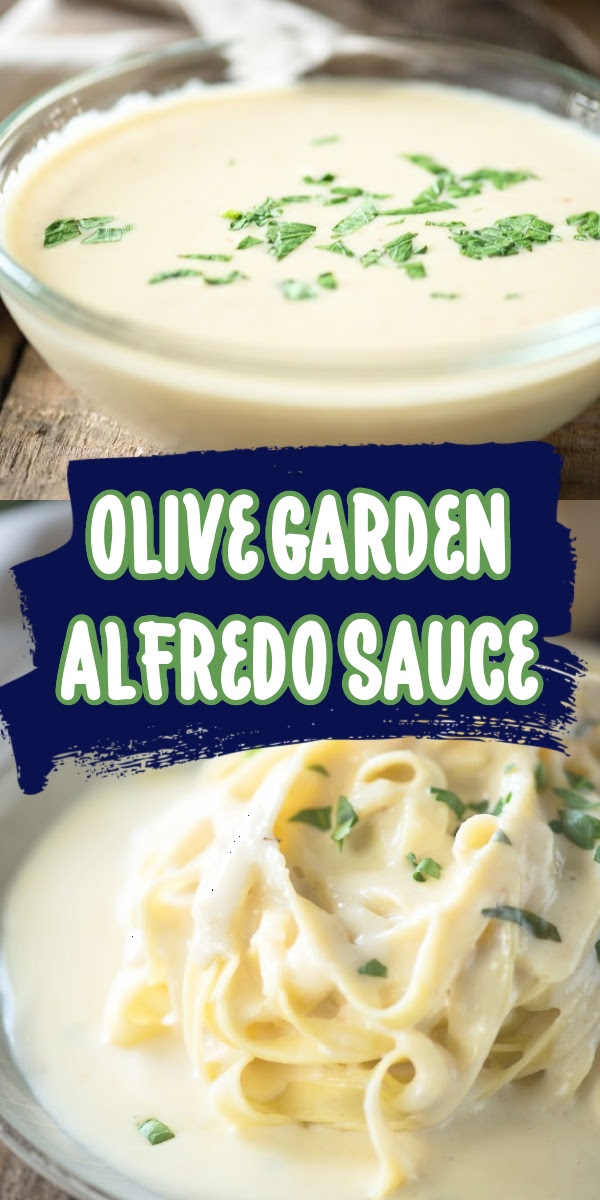 Best Olive Garden Alfredo Recipe Easy Copycat Alfredo Sauce Recipe